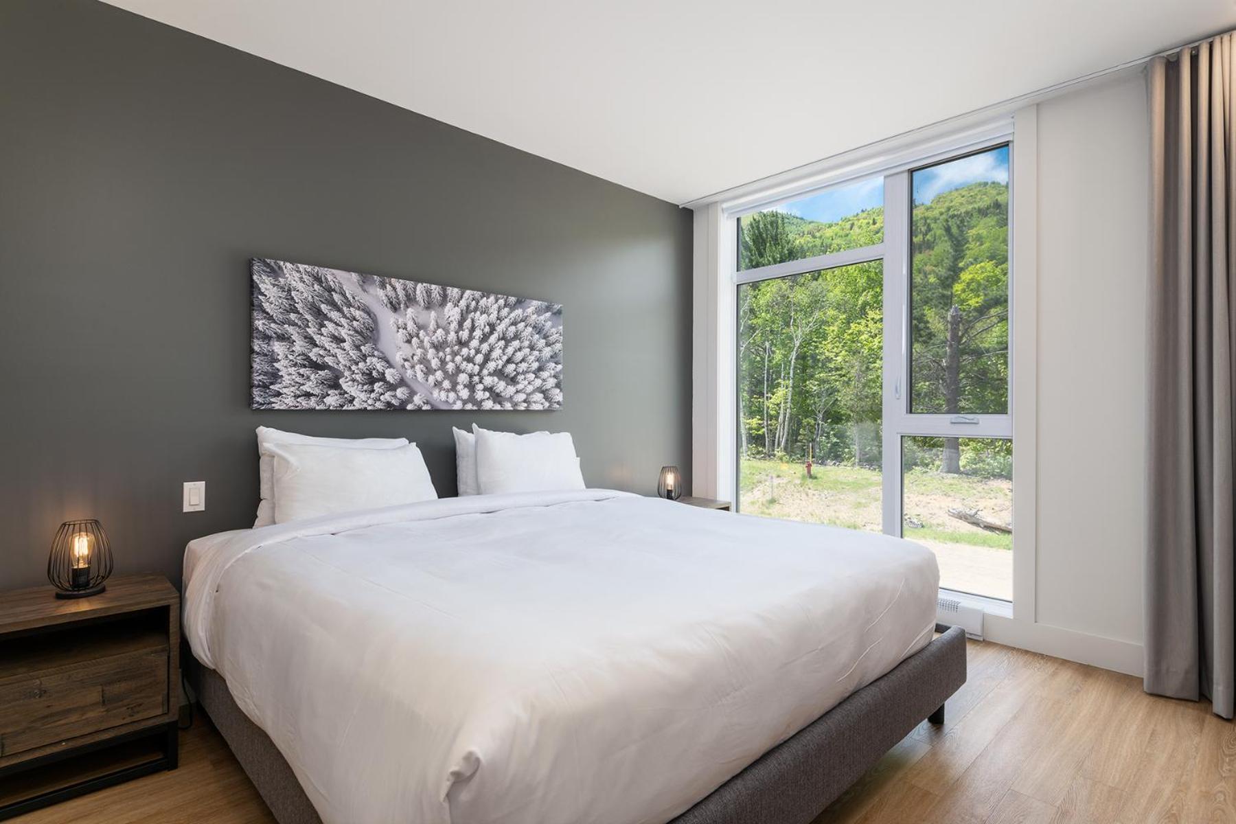 Les Appartements Du Massif De Charlevoix Petite-Riviere-Saint-Francois Phòng bức ảnh