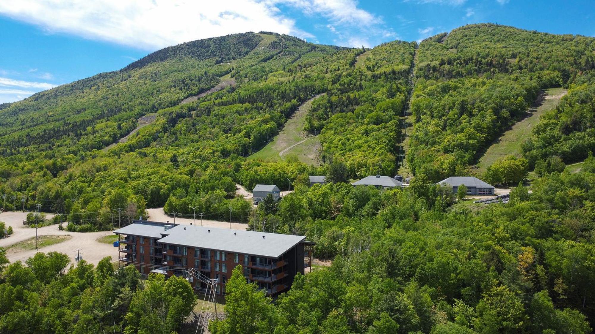 Les Appartements Du Massif De Charlevoix Petite-Riviere-Saint-Francois Ngoại thất bức ảnh