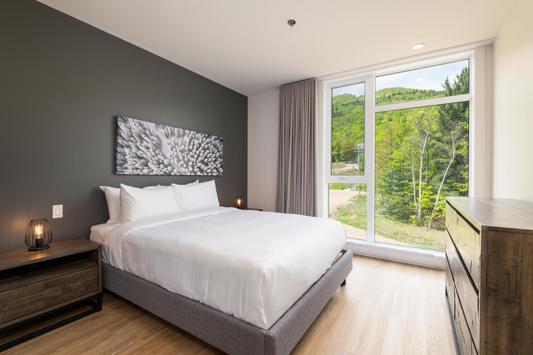 Les Appartements Du Massif De Charlevoix Petite-Riviere-Saint-Francois Phòng bức ảnh